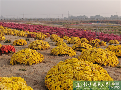 示范場(chǎng)景2 - 復(fù)件(1).png