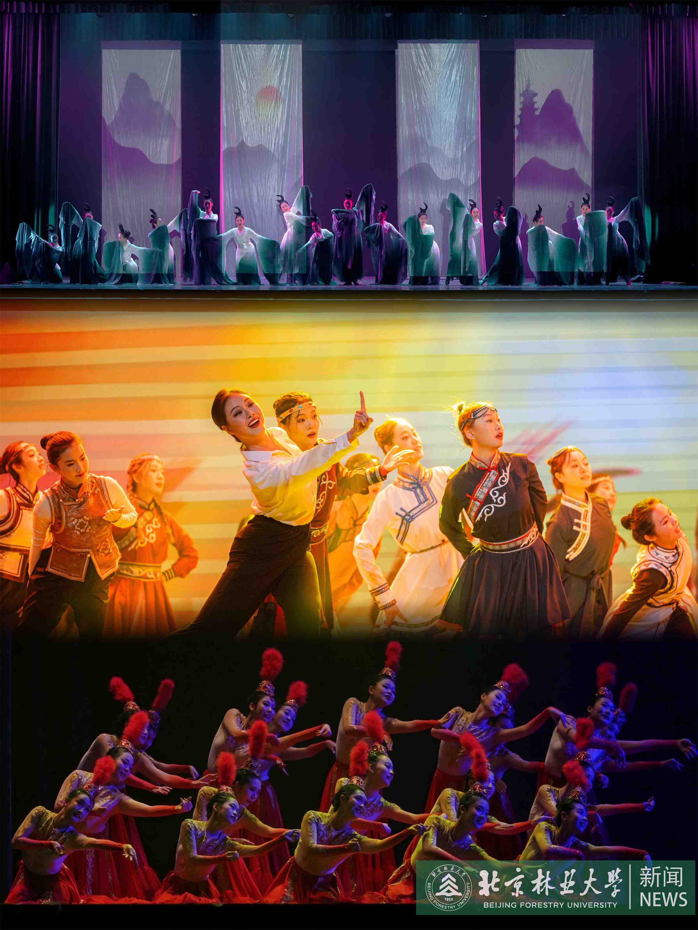 北林大原創生態舞蹈詩《共生》 (3).jpg