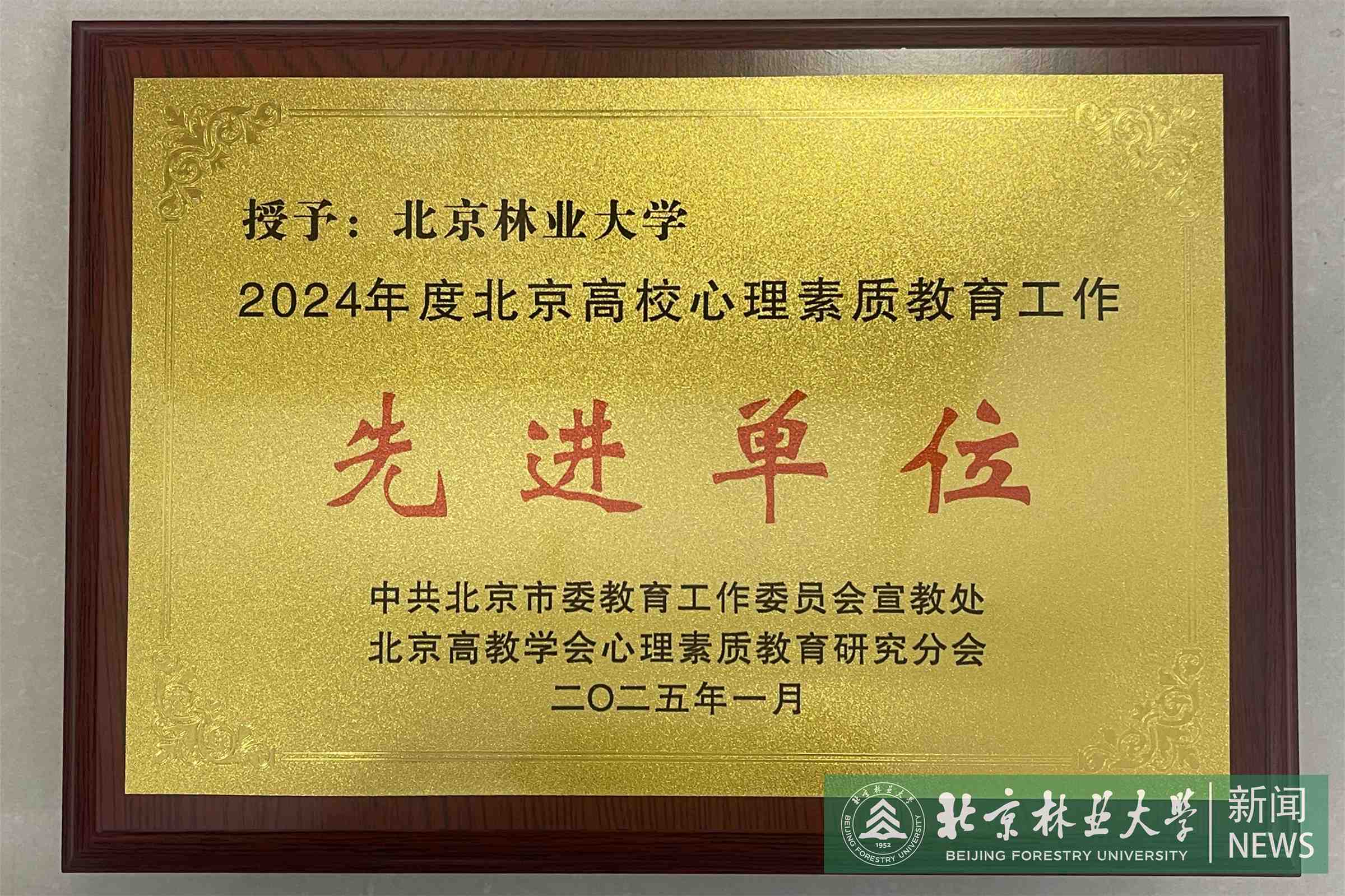 微信圖片_20250114151920.jpg